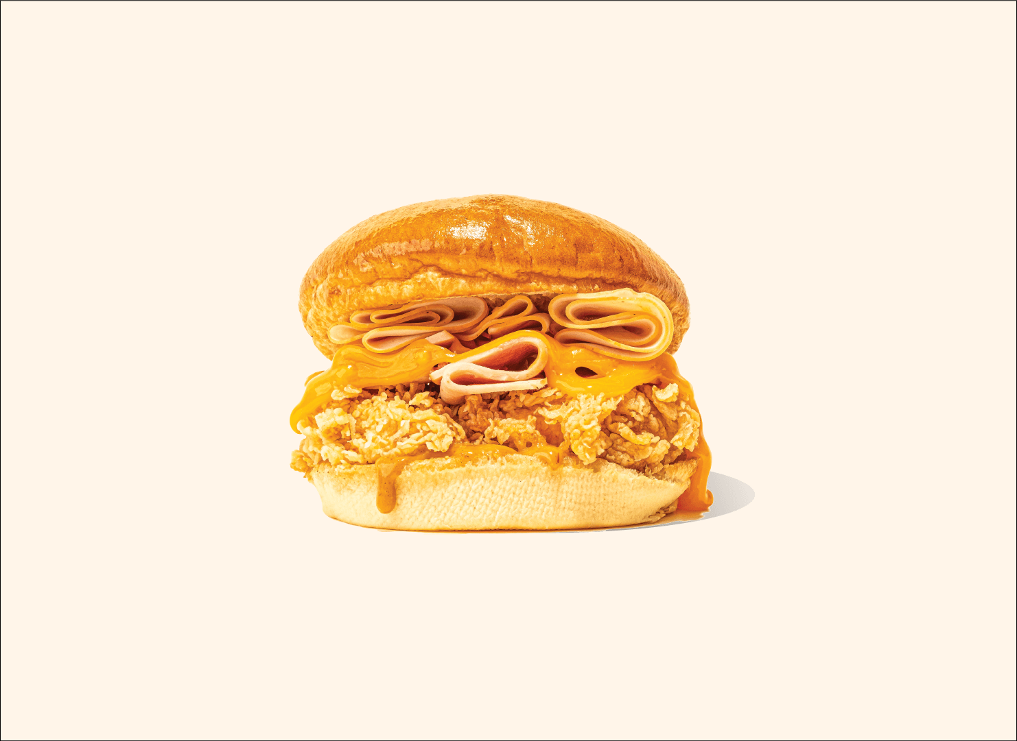 Shiknz Chicken Burger
