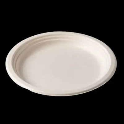 Packland Biodegradable Food Tray 10 Inches - 10 Pieces