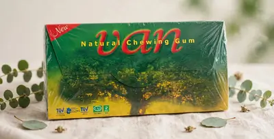 Van Natural Chewing Gum 100 bars