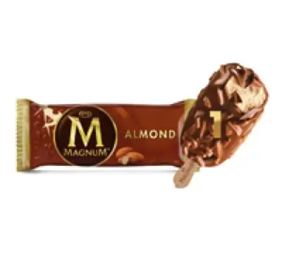 Magnum Almond Ice Cream
