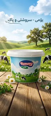 Yummy Fresh Cow Yogurt