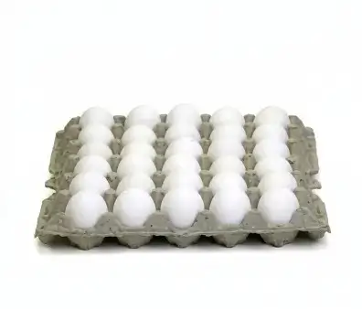 Fresh White Eggs 30 pcs