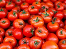 Fresh Red Tomatoes ( iraqi ) 1 Kg