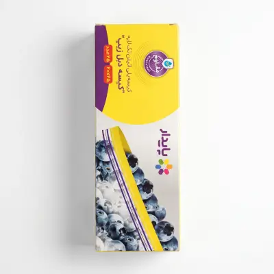 Paydar Double Zipper Bag 20x25cm