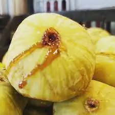 Akre Fig