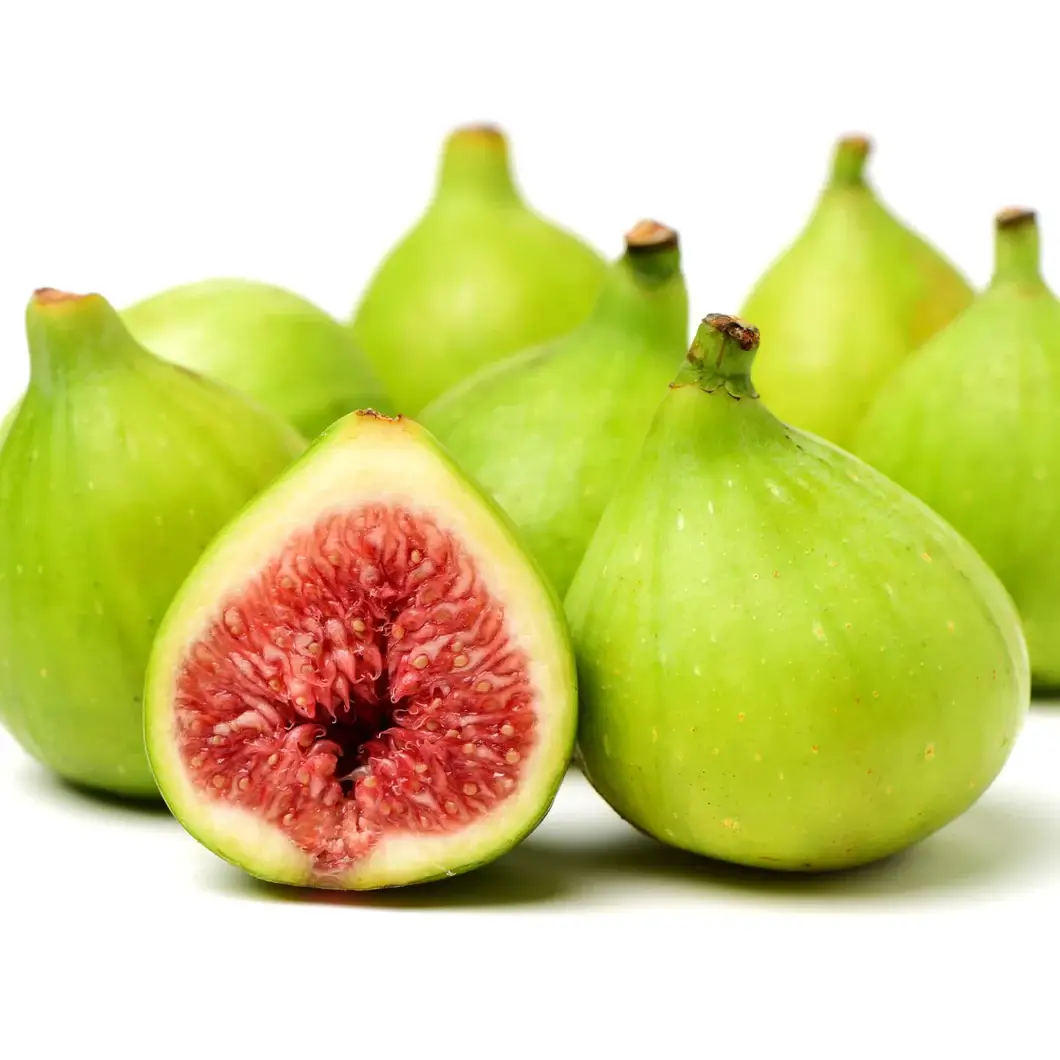 Taq Taq Fig