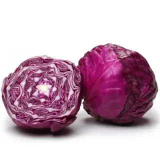 Red Cabbage 