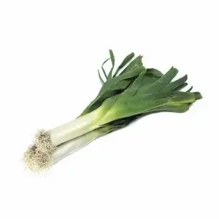 Leek Leaves