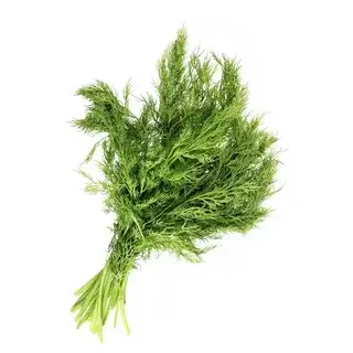 Dill 