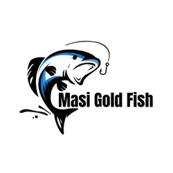 Masi Gold Fish