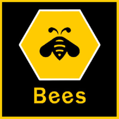 Bees Bakhtiyari