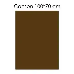 Canson Paper (Brown) 100 X 70 cm