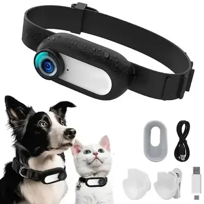 Pet Camera Collar