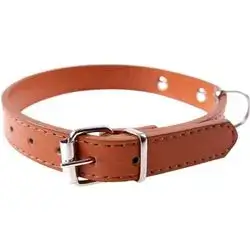Collar XL