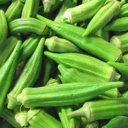 Baghdad Okra