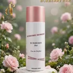 BURBERRY HER