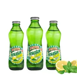 Beypazarı Lemon And Mint Soda 1 x 24