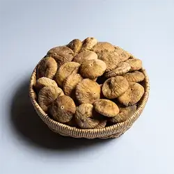 Turkish Fig Number (1)