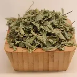 lemon balm (melissa)
