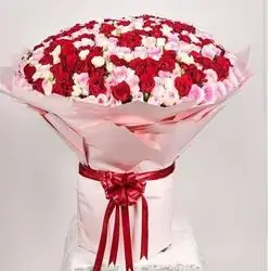 Mix Rose