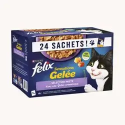 Felix Mix in Jelly 24x