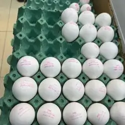 Half Crate Of Eggs