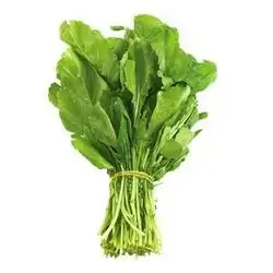 Arugula