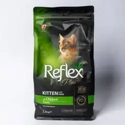 Reflex Plus Kitten