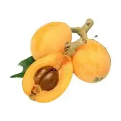 Loquat (Hengi Dnya) 1 Kg