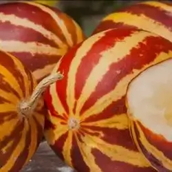 Dudalm Melon-2kg