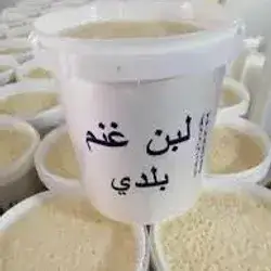  Lamb  Yogurt 