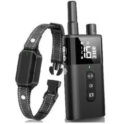 Dog Training Collar