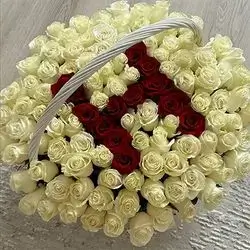 Basket of Roses VIP (100 Roses)