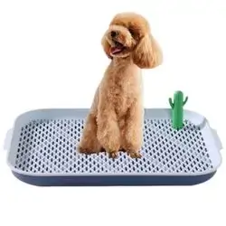 Dog Training Toilet 45cm