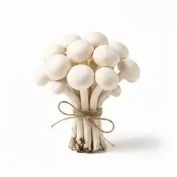 Baby Mushroom