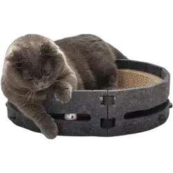 Cat Scratcher House