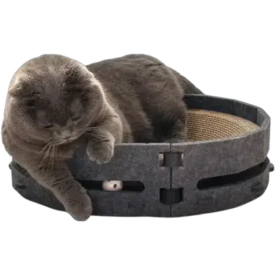 Cat Scratcher House