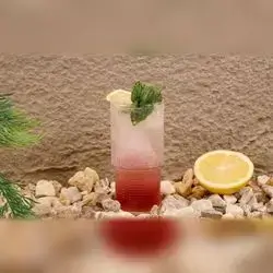 Blueberry Mojito