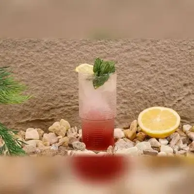 Blueberry Mojito