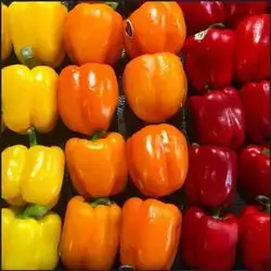 Pepper Colors