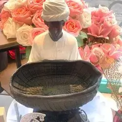 Medium Size Bowl Of Dates