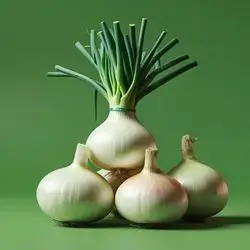 White Onions