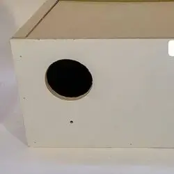 Bird's Nest