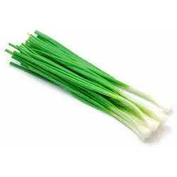 Green -Onion  1Pack