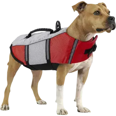 Dog Life Jacket L