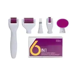 Derma Roller System 6 in 1