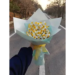 Bouquet Of Daffodils 20 Flowers