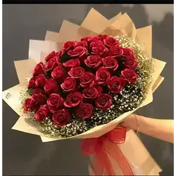 40 Rose