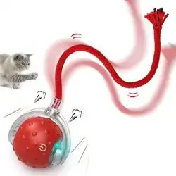 Interactive Cat Toy