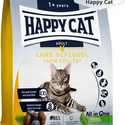 happy cat